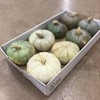 PUMPA MIX GRÖNA BRUNA BEIGE 1x8